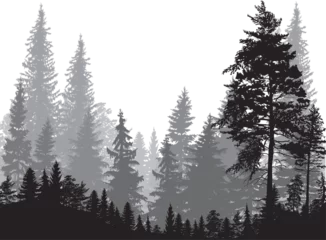 fir trees three grey colors forest on white background © Alexander Potapov
