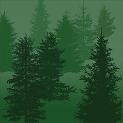 fir trees group on green background