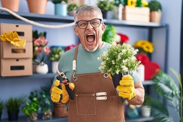 Hispanic man with grey hair working at florist shop angry and mad screaming frustrated and furious, shouting with anger. rage and aggressive concept.