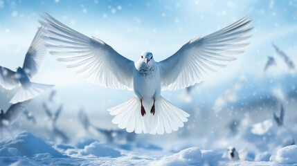 Arctic tern on snow background with empty space for text 