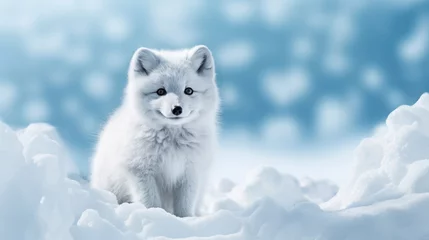 Foto auf Acrylglas Polarfuchs Arctic fox on snow background with empty space for text 