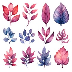 Obraz premium Watercolor Foliage Clipart