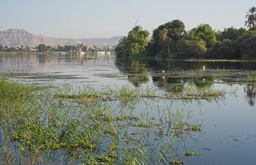 Landscape view across nile river to luxor west bank