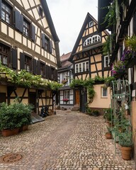 Vertical shot of Typical half-timbered houses lined along a pedestrian street in Germany