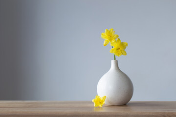 yellow summer flowers in white vase on gray background