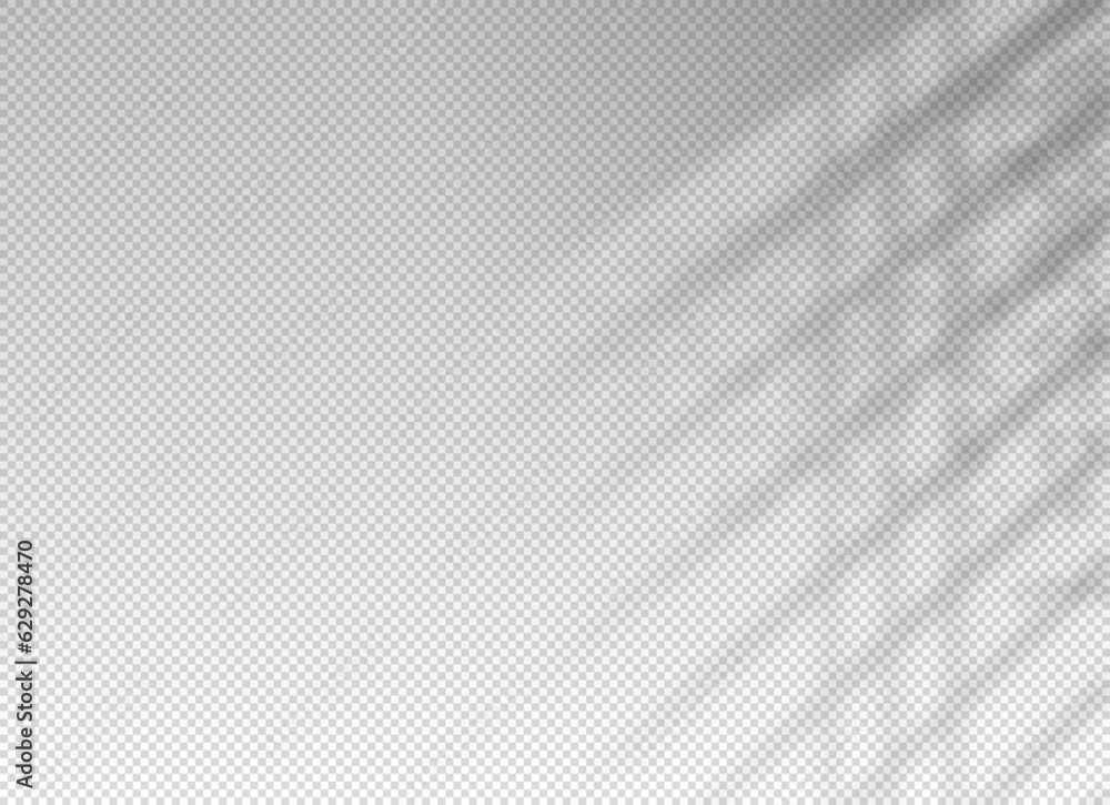 Poster shadow from window. light on wall. shade from blind for overlay effect overlay. reflect leaves tree.