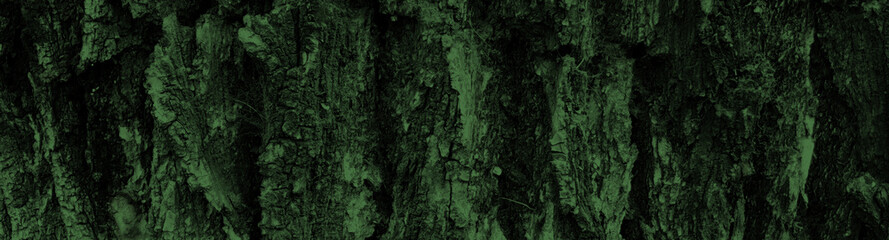 Dark green texture of tree bark. Website header. Web banner