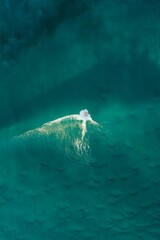 Aerial view of a leisurely surfer enjoying the waves in the ocean below