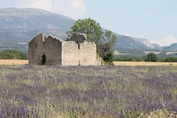 Gardinen Paysage de lavande en Provence © Jérôme