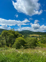 Awesome Carpathian mountains landscape background with forest and clouds on the summer season  