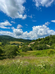 Fototapeta na wymiar Awesome Carpathian mountains landscape background with forest and clouds on the summer season 