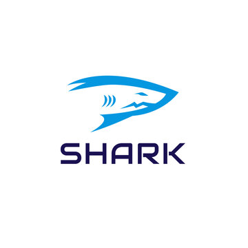 vector shark icon logo illustration