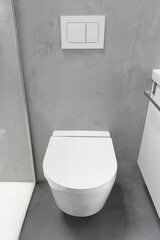 Wall mounted toilet of a home bathroom