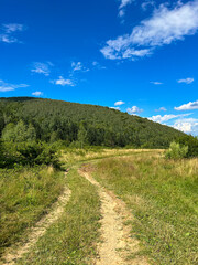 Plakat Awesome Carpathian mountains landscape background with forest and clouds on the summer season 