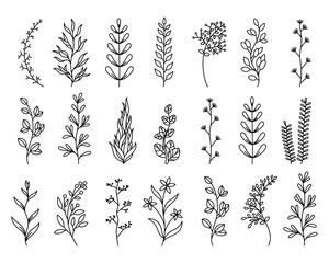 Flores con ramas de primavera decorativas lineales. Vectores de variedad de plantas.