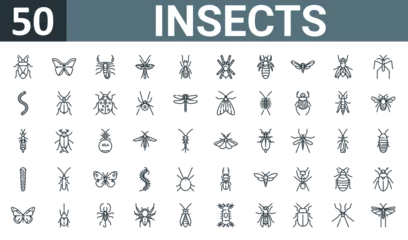 Foto op Plexiglas set of 50 outline web insects icons such as bug, butterfly, scorpion, bug, termite, tarantula, louse vector thin icons for report, presentation, diagram, web design, mobile app. © MacroOne