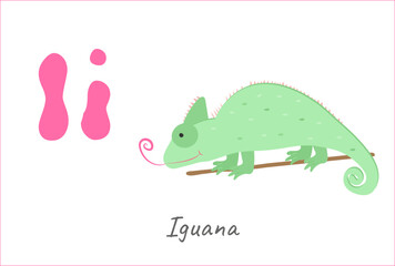 for the English alphabet, the letter I is an iguana