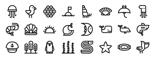 set of 24 outline web sea life icons such as jellyfish, seagull, caviar, buoy, hermit crab, seashell, manta ray vector icons for report, presentation, diagram, web design, mobile app - obrazy, fototapety, plakaty