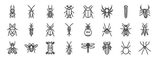 set of 24 outline web insects icons such as beetle, cockroach, termite, bug, bug, spider, caterpillar vector icons for report, presentation, diagram, web design, mobile app