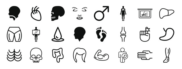Obraz premium set of 24 outline web body parts icons such as human head, body part with lines, human skull side view, face of a woman, male, human, hand bones in x ray plate vector icons for report, presentation,