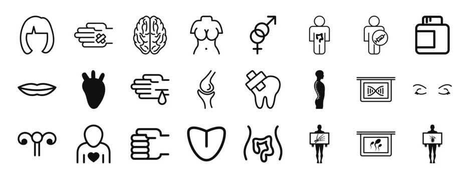 set of 24 outline web body parts icons such as blond female short hair shape, wound in a hand, brain upper view, upper torso of a woman, male and female gender, man, male vector icons for report,