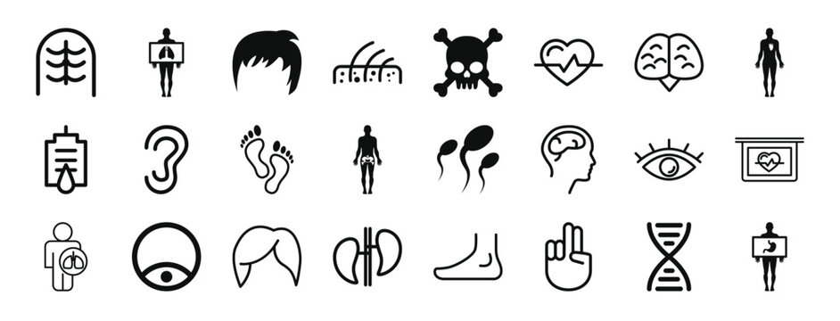 set of 24 outline web body parts icons such as couple of fingers, ribs x rays, short black male hair shape, skin layers with hair follicles, human skull with crossed bones, heart shape, symmetrical