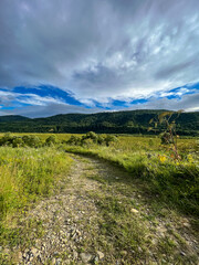 Fototapeta premium Awesome Carpathian mountains landscape background with forest and clouds on the summer season