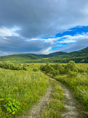 Fototapeta na wymiar Awesome Carpathian mountains landscape background with forest and clouds on the summer season