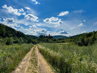 Awesome Carpathian mountains landscape background with forest and clouds on the summer season