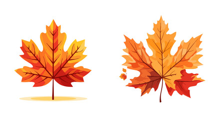 Fototapeta premium dry leaf for autumn element vector decoration