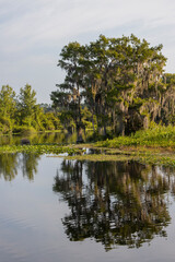 Lake Rousseau at Dunnellon, Florida