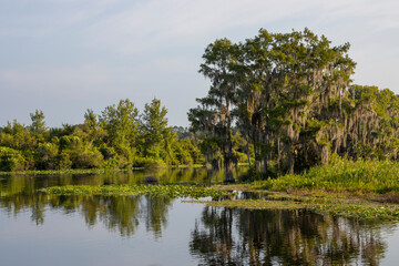 Fototapeta na wymiar Lake Rousseau at Dunnellon, Florida