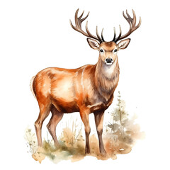 Naklejka na ściany i meble deer clipart in watercolor painting design isolated against transparent background