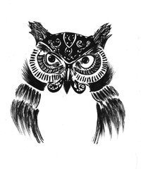 owl head illustration drawn on paper using a black drawing pen art drawing with a pen owl