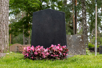 blank gravestone with other graves at graveyard. trees on back.