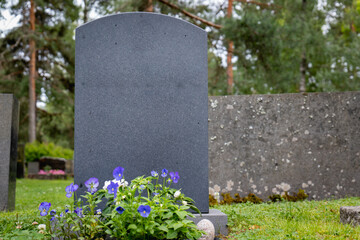 blank gravestone with other graves at cemetry. trees on back. - obrazy, fototapety, plakaty