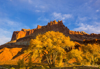 Fototapeta premium Autumn in Capitol Reef