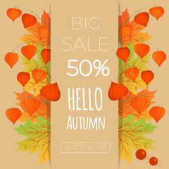 Autumn sale banner. Hello autumn. Autumn maple leaves with branch of physalis on beige background.