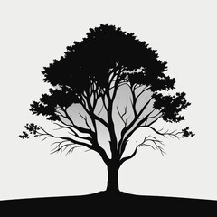 Tree silhouette in black and white colors, vector illustration graphic design.