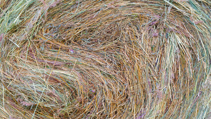 Hay close up. close up detailed view  stack of hay