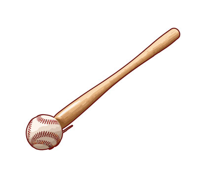 Illustration of baseball bat



