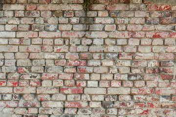 Zdjęcie przedstawiające teksturę utworzoną przez cegły ułożone w równych rzędach w murze. Cegły częściowo pokryte są zaprawą murarską. Stanowią one element starej budowli. - 629309851