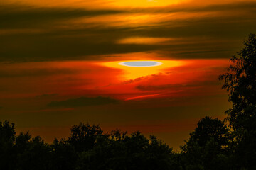 Wieczorne zachmurzone niebo pokryte chmurami. Jest ono zabarwione na czerwono. Pomiędzy chmurami widać fragment tarczy słonecznej. U dołu są wierzchołki drzew. - obrazy, fototapety, plakaty