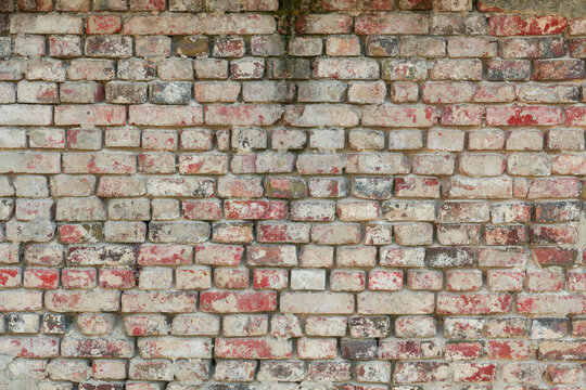 Fototapeta Zdjęcie przedstawiające teksturę utworzoną przez cegły ułożone w równych rzędach w murze. Cegły częściowo pokryte są zaprawą murarską. Stanowią one element starej budowli.