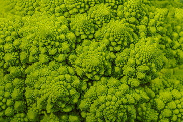 romanesco broccoli roman cauliflower inflorescence head of fresh green cabbage fractal exotic...