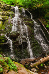 Beauty of Woodburn Falls in Lacamas Park in Summer