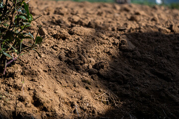Sunlight on the ground
