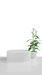 white flower in a white room elegant stand mockup product white wall 1 stand transparent background