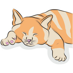 Illustration of a cute cat , vector illustration