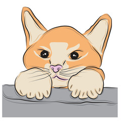 Illustration of a cute cat , vector illustration
